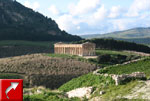 Le  temple de Ségeste